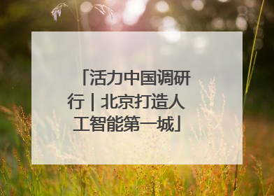 活力中国调研行｜北京打造人工智能第一城