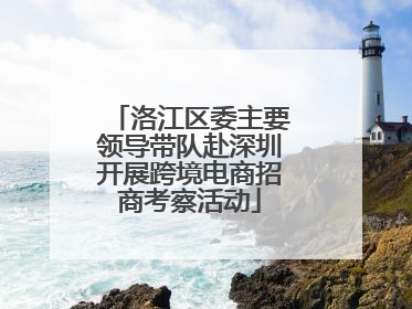 洛江区委主要领导带队赴深圳开展跨境电商招商考察活动