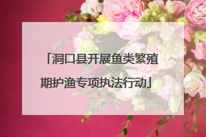 洞口县开展鱼类繁殖期护渔专项执法行动