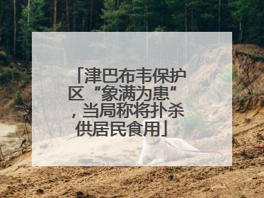 津巴布韦保护区“象满为患”，当局称将扑杀供居民食用
