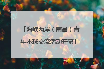 海峡两岸（南昌）青年木球交流活动开幕