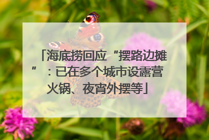 海底捞回应“摆路边摊”：已在多个城市设露营火锅、夜宵外摆等