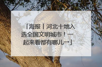 海报丨河北十地入选全国文明城市！一起来看都有哪儿→