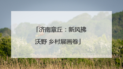 济南章丘：新风拂沃野 乡村展画卷