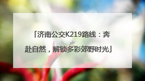 济南公交K219路线：奔赴自然，解锁多彩郊野时光