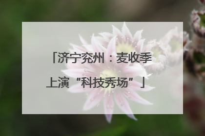 济宁兖州：麦收季上演“科技秀场”