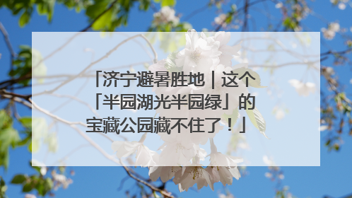 济宁避暑胜地｜这个「半园湖光半园绿」的宝藏公园藏不住了！