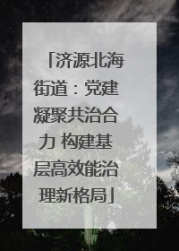 济源北海街道：党建凝聚共治合力 构建基层高效能治理新格局