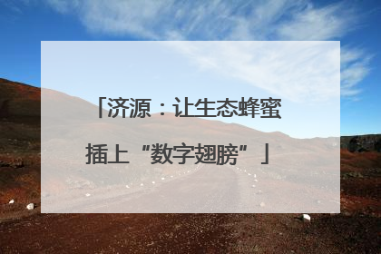 济源：让生态蜂蜜插上“数字翅膀”