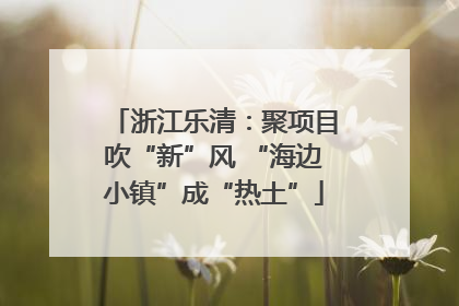 浙江乐清：聚项目吹“新”风 “海边小镇”成“热土”