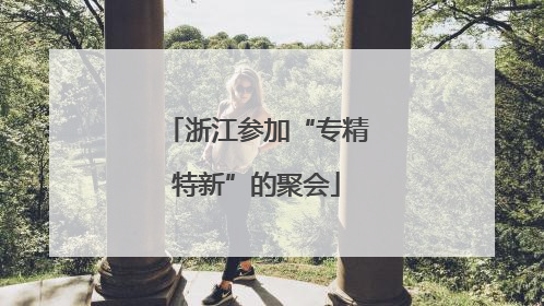 浙江参加“专精特新”的聚会