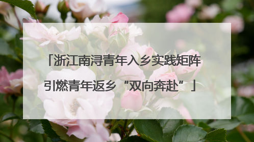 浙江南浔青年入乡实践矩阵 引燃青年返乡“双向奔赴”