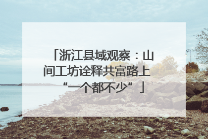 浙江县域观察：山间工坊诠释共富路上“一个都不少”