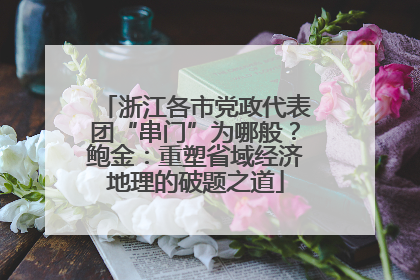 浙江各市党政代表团“串门”为哪般？鲍金：重塑省域经济地理的破题之道