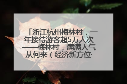 浙江杭州梅林村，一年接待游客超5万人次——梅林村，满满人气从何来（经济新方位·农村消费观察）