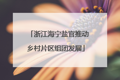浙江海宁盐官推动乡村片区组团发展