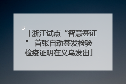 浙江试点“智慧签证” 首张自动签发检验检疫证明在义乌发出