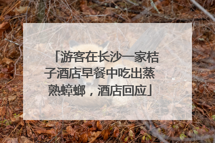 游客在长沙一家桔子酒店早餐中吃出蒸熟蟑螂，酒店回应