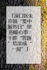 渌口区朱亭镇“集中服务日”里的暖心事：干群“答题”结亲成“一屋”