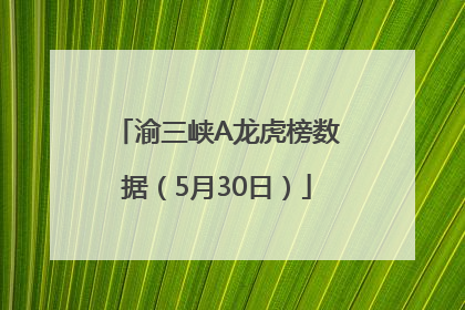 渝三峡A龙虎榜数据（5月30日）