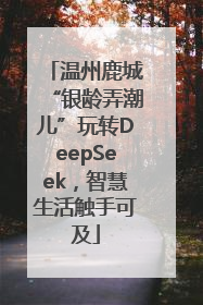 温州鹿城“银龄弄潮儿”玩转DeepSeek，智慧生活触手可及