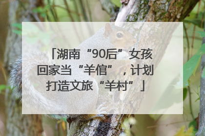 湖南“90后”女孩回家当“羊倌”，计划打造文旅“羊村”