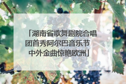 湖南省歌舞剧院合唱团首秀阿尔巴音乐节 中外金曲惊艳欧洲