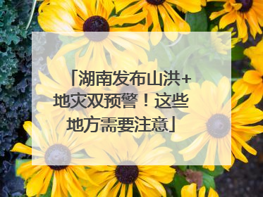 湖南发布山洪+地灾双预警！这些地方需要注意