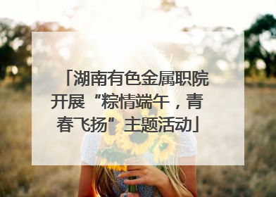 湖南有色金属职院开展“粽情端午，青春飞扬”主题活动