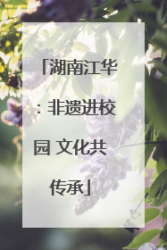 湖南江华：非遗进校园 文化共传承