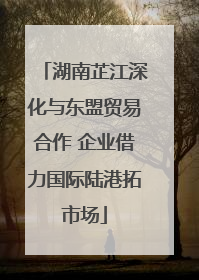 湖南芷江深化与东盟贸易合作 企业借力国际陆港拓市场