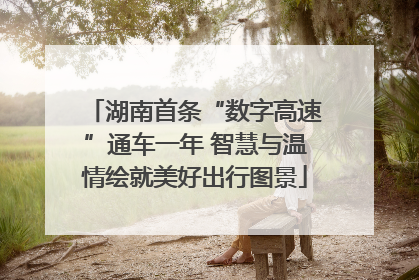 湖南首条“数字高速”通车一年 智慧与温情绘就美好出行图景