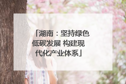 湖南：坚持绿色低碳发展 构建现代化产业体系