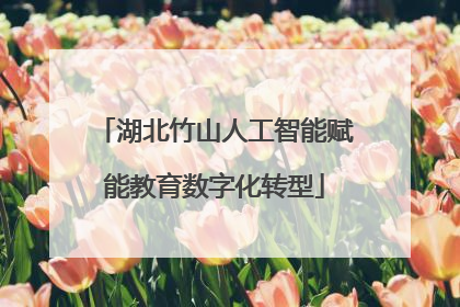 湖北竹山人工智能赋能教育数字化转型