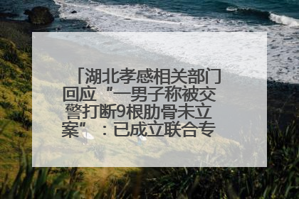 湖北孝感相关部门回应“一男子称被交警打断9根肋骨未立案”：已成立联合专班开展工作