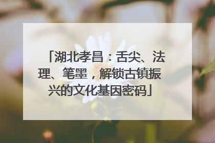 湖北孝昌：舌尖、法理、笔墨，解锁古镇振兴的文化基因密码