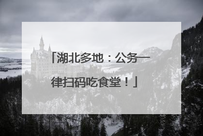 湖北多地：公务一律扫码吃食堂！