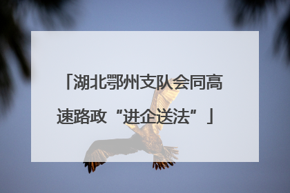 湖北鄂州支队会同高速路政“进企送法”