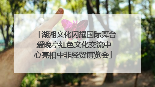 湖湘文化闪耀国际舞台 爱晚亭红色文化交流中心亮相中非经贸博览会
