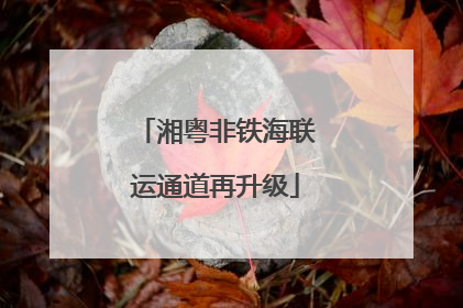 湘粤非铁海联运通道再升级