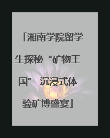湘南学院留学生探秘“矿物王国” 沉浸式体验矿博盛宴