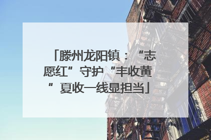 滕州龙阳镇：“志愿红”守护“丰收黄”夏收一线显担当