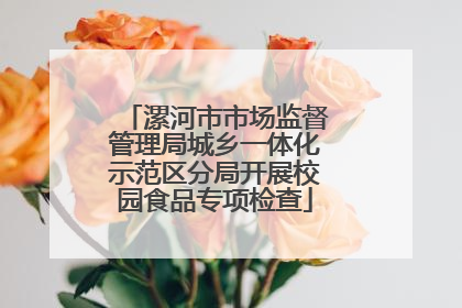漯河市市场监督管理局城乡一体化示范区分局开展校园食品专项检查