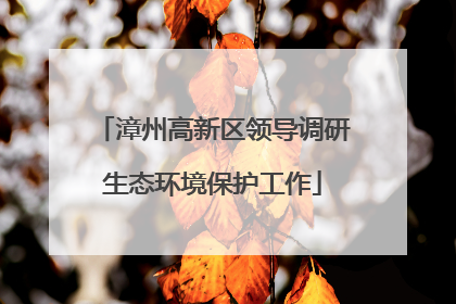 漳州高新区领导调研生态环境保护工作