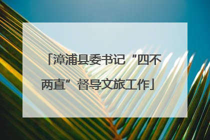 漳浦县委书记“四不两直”督导文旅工作