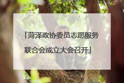 菏泽政协委员志愿服务联合会成立大会召开