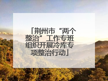 荆州市“两个整治”工作专班组织开展冷库专项整治行动