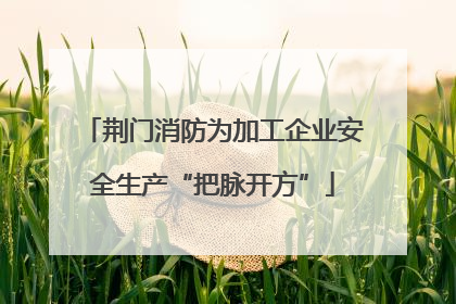 荆门消防为加工企业安全生产“把脉开方”