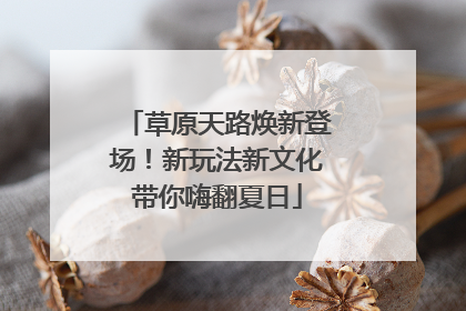 草原天路焕新登场！新玩法新文化带你嗨翻夏日