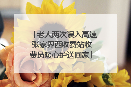 老人两次误入高速 张家界西收费站收费员暖心护送回家